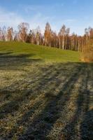 Herbstlandschaft mit gelben Blättern an einem sonnigen Tag foto