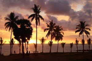 reise nach insel koh lanta, thailand. Palmen auf dem Hintergrund des farbenfrohen Sonnenuntergangs am Strand. foto