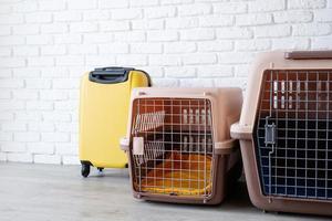 Haustier-Ecke Kunststoff-Haustierträger oder Haustierkäfige mit gelbem Reisekoffer auf dem Boden zu Hause foto