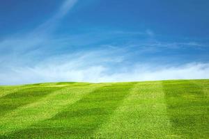 grüner feldhintergrund mit schönem himmel foto