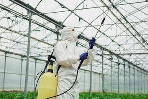 junge gewächshausarbeiterin in voller weißer schutzuniform, die pflanzen innerhalb des treibhauses wässert foto