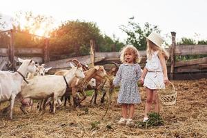 zwei kleine mädchen zusammen auf dem bauernhof im sommer mit wochenende mit ziegen foto