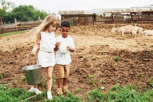Milch halten. süßer kleiner afroamerikanischer junge mit europäischem mädchen ist auf dem bauernhof foto