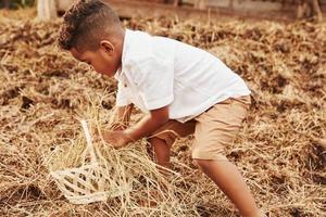 Der süße kleine afroamerikanische Junge ist im Sommer auf der Farm foto