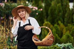 mit Korb in den Händen. Seniorin ist tagsüber im Garten. Vorstellung von Pflanzen und Jahreszeiten foto