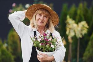 posiert mit Blumentopf in den Händen. Seniorin ist tagsüber im Garten. Vorstellung von Pflanzen und Jahreszeiten foto