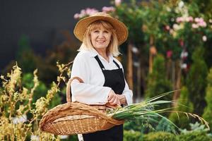 mit Korb in den Händen. Seniorin ist tagsüber im Garten. Vorstellung von Pflanzen und Jahreszeiten foto