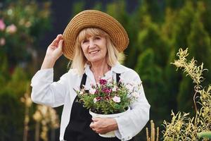 posiert mit Blumentopf in den Händen. Seniorin ist tagsüber im Garten. Vorstellung von Pflanzen und Jahreszeiten foto