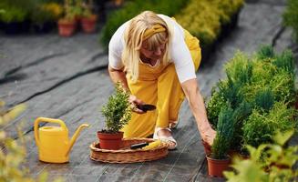 in gelber Uniform. Seniorin ist tagsüber im Garten. Vorstellung von Pflanzen und Jahreszeiten foto