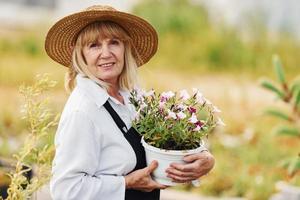 posiert mit Blumentopf in den Händen. Seniorin ist tagsüber im Garten. Vorstellung von Pflanzen und Jahreszeiten foto