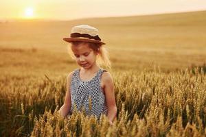 Kleines Mädchen, das abends auf dem landwirtschaftlichen Feld steht. Konzeption der Sommerfreizeit foto