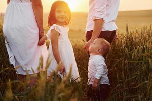 Ansicht von hinten. eine vierköpfige familie, die an sonnigen sommertagen ihre freizeit auf dem feld verbringt foto