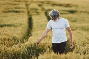 in Freizeitkleidung. Älterer stilvoller Mann mit grauem Haar und Bart auf dem landwirtschaftlichen Feld mit Ernte foto