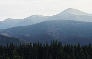 majestätische Karpaten. schöne Landschaft unberührter Natur foto