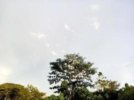 wunderschöne Naturkulisse im blauen Himmel, weiße Wolken und viele grüne Bäume drumherum foto