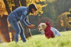 frau geht tagsüber mit golden retriever-hund im park spazieren foto