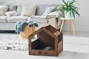 Kleine Haustierkabine befindet sich auf dem Boden im modernen Wohnraum foto