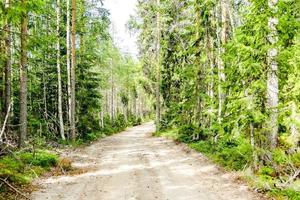 Landschaft in Schweden, Europa foto