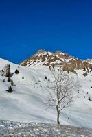 verschneite Winterlandschaft in den Dolomiten, Italien foto