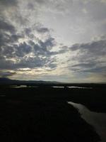 Wildpflanzen, die an den Ufern des Flusses wachsen foto