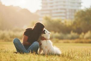 das Haustier umarmen. frau mit ihrem hund hat spaß auf dem feld bei sonnigem tag foto