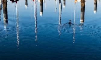 Bootsmastreflexionen auf blauem gewelltem Wasser foto