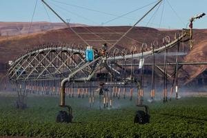 Feldbewässerungs-Sprinkler-Bewässerungssystem für Feldfrüchte foto