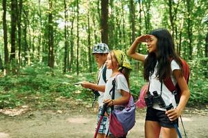 Vorderansicht. kinder, die mit reiseausrüstung im wald spazieren gehen foto