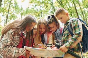 Vorderansicht. kinder im grünen wald im sommer tagsüber zusammen foto