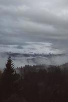 nadelwald und berge landschaft reise ruhige landschaft foto