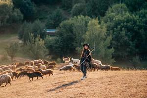 Hirtin und Schafherde auf einer Wiese foto