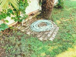 Hotelanlage in einem heißen, tropischen Land. exotische Bäume und Sträucher. auf dem boden liegt ein gefalteter schlauch zum bewässern des grases. Garten- und Pflanzenpflege foto