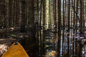 Soomaa-Nationalpark bei Überschwemmungen foto