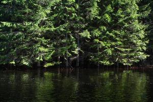 Soomaa-Nationalpark bei Überschwemmungen foto