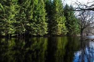 Soomaa-Nationalpark bei Überschwemmungen foto