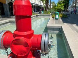 Roter Hydrant von Pflanzen auf Fußweg foto