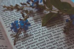 winzige lila Blüten im alten Vintage-Buch foto