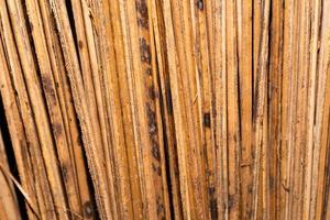 Textur von Kokosblättern. Besen aus Kokosblatt, Kokosblattbesen, Textur aus Kokosnussbesen, Tagmaprgaw-Besen. foto