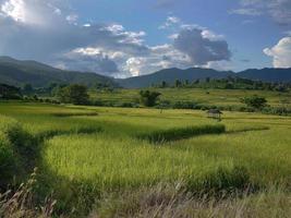 landschaftspanorama von thailändischen, terrassierten reisfeldern der provinz chiangmai. spektakuläre Reisfelder über Berghang, Tapete foto