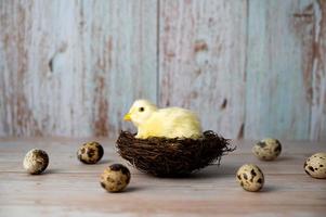 Ostergrußkarte mit gelbem Huhn im Nest. Platz für Texte foto