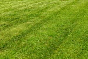 perfekt und frisch gemähter Gartenrasen im Sommer. Nahaufnahme von grünem Gras, natürliche Hintergrundtextur. getrimmtes Gras, Feld. foto