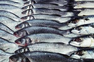 Frischer Fisch auf Eis im Supermarkt foto