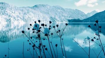 winterliche Seenlandschaft in blauen Farbtönen foto