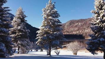 Winterwald am Ufer des Bergsees. riesige Fichten mit Schnee bedeckt. Pier, Spiegelwasser, Berge in der Ferne. Winterferienzeit. foto