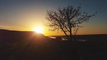 Baumsilhouette in der Dämmerung gegen die untergehende Sonne und den Berg foto