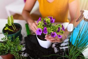 Pflanztöpfe. Frau im Garten in Töpfen. Pflanzenpflege. Gärtnern ist mehr als ein Hobby. Schöne Hausfrau mit Blume im Topf und Gartenset. Pflege einer Topfpflanze foto