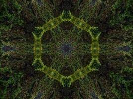 abstrakter Kaleidoskop-Hintergrund. schöne mehrfarbige Kaleidoskop-Textur. einzigartiges Kaleidoskop-Design. mit dunkelgrünen und hellgrünen Grundfarben foto
