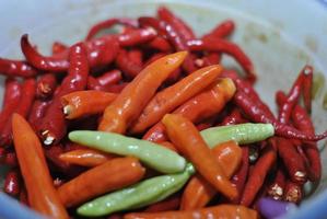 würzige grüne Chilis und würzige rote Chilis mit Schalenhintergrund foto