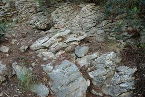 Moos auf Felswand Reliefstruktur aus Stein mit Mustern foto
