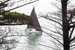 an einem bewölkten morgen segelt schwarz durch die bäume foto